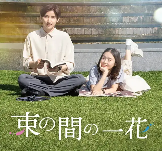 京本大我ドラマ&DVD/Blu-ray 映像作品まとめ|SixTONES きょも 出演作ガイド